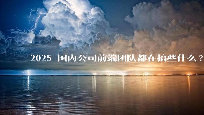 2025 国内公司前端团队都在搞些什么?