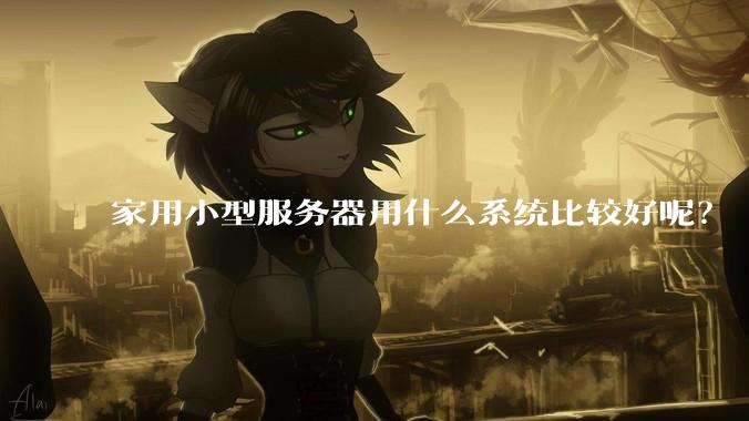 家用小型服务器用什么系统比较好呢？