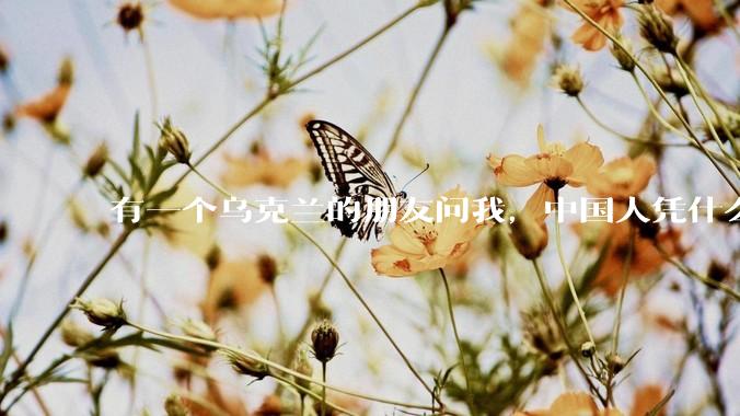 有一个乌克兰的朋友问我，中国人凭什么能享受和平，我该怎么说？