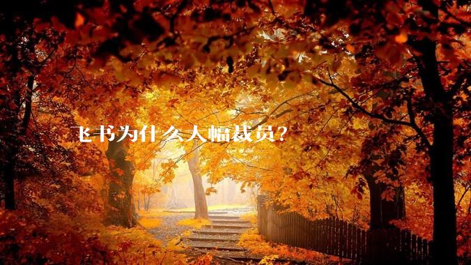 飞书为什么大幅裁员？